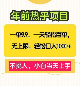 一单9.9，一天百单无上限，不挑人，小白当天上手，轻松日入1000+-吾爱网创