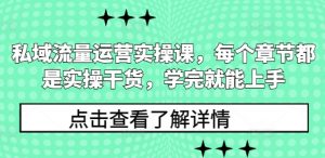 私域流量运营实操课,每个章节都是实操干货,学完就能上手-吾爱网创