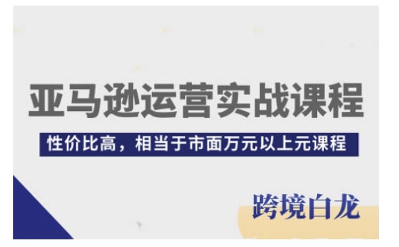 亚马逊运营实战课程,亚马逊从入门到精通,性价比高,相当于市面万元以上元课程-吾爱网创