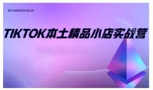 TikTok本土精品小店出海实战营,从入门到高阶,不止0-1!-吾爱网创