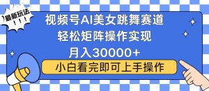 视频号蓝海赛道玩法，当天起号，拉爆流量收益，小白也能轻松月入30000+-吾爱网创