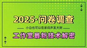 2025问卷调查最新工作室技术解密：一个人在家也可以闷声发大财，小白一天2张，可矩阵放大【揭秘】-吾爱网创