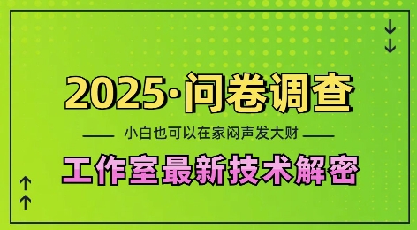 2025问卷调查最新工作室技术解密:一个人在家也可以闷声发大财,小白一天2张,可矩阵放大【揭秘】-吾爱网创