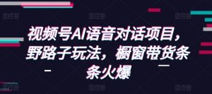 视频号AI语音对话项目,野路子玩法,橱窗带货条条火爆-吾爱网创