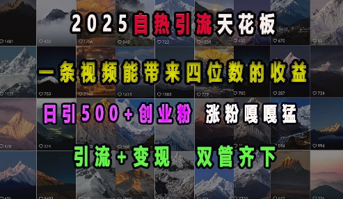 2025自热引流天花板，一条视频能带来四位数的收益，引流+变现双管齐下，日引500+创业粉，涨粉嘎嘎猛-吾爱网创