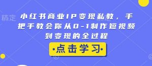 小红书商业IP变现私教，手把手教会你从0-1制作短视频到变现的全过程-吾爱网创