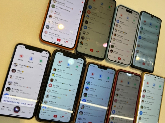 首发揭秘小红书私域日引500+创业粉四大模板，月入过W+全程干货!没有废话!保姆教程!-吾爱网创