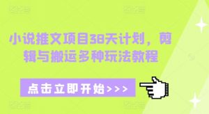 小说推文项目38天计划，剪辑与搬运多种玩法教程-吾爱网创