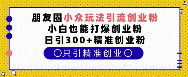 朋友圈小众玩法引流创业粉,小白也能打爆创业粉,日引300+精准创业粉【揭秘】-吾爱网创