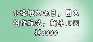 小说推文项目，图文创作玩法，新手10天挣3000-吾爱网创