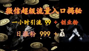微信超级流量入口揭秘：一小时引流 99 + 创业粉，日涨粉 999 +-吾爱网创