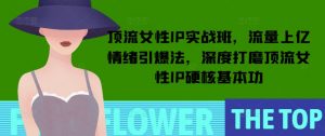 顶流女性IP实战班,流量上亿情绪引爆法,深度打磨顶流女性IP硬核基本功-吾爱网创