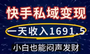 一天收入1691.5,快手私域变现,小白也能闷声发财-吾爱网创