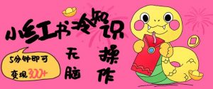 小红书冷知识账号，无脑复制粘贴，5分钟即可变现3张-吾爱网创