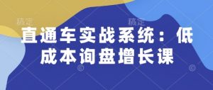 直通车实战系统：低成本询盘增长课，让个人通过技能实现升职加薪，让企业低成本获客，订单源源不断-吾爱网创