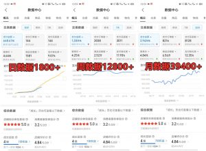 拼多多虚拟店铺项目，电脑挂机自动发货，单店日利润300+-吾爱网创