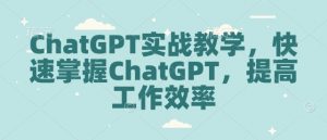 ChatGPT实战教学，快速掌握ChatGPT，提高工作效率-吾爱网创