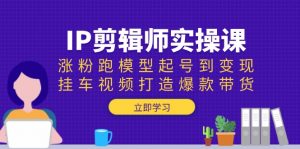 IP剪辑师实操课:涨粉跑模型起号到变现,挂车视频打造爆款带货-吾爱网创
