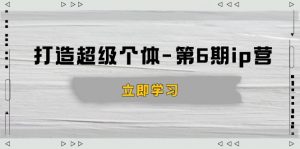 打造 超级个体-第6期ip营：商业认知,产品设计,成交演练,解决知识变现难题-吾爱网创