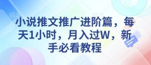 小说推文推广进阶篇,每天1小时,月入过W,新手必看教程-吾爱网创