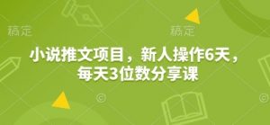 小说推文项目,新人操作6天,每天3位数分享课-吾爱网创