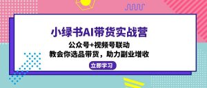 小绿书AI带货实战营:公众号+视频号联动,教会你选品带货,助力副业增收-吾爱网创