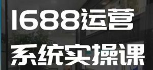 1688高阶运营系统实操课,快速掌握1688店铺运营的核心玩法-吾爱网创