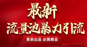 最新“流量池”无门槛暴力引流(全网首发)日引500+-吾爱网创