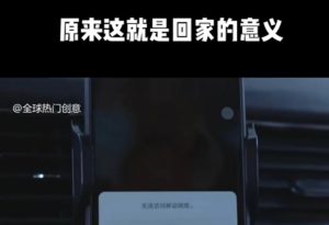 利用春节风口，制作热点视频，多种玩法类型，新手也能轻松变现！-吾爱网创