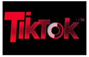 TikTok ads投流秘籍，涵盖tiktok整体投放思路，教你搭建测试计划-吾爱网创
