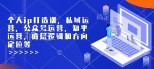 个人ip打造课，私域运营，公众号运营，知乎运营，底层逻辑和方向定位等-吾爱网创