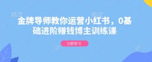 金牌导师教你运营小红书，0基础进阶赚钱博主训练课-吾爱网创
