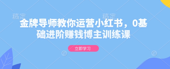 金牌导师教你运营小红书,0基础进阶赚钱博主训练课-吾爱网创