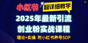 2025年最新小红书引流创业粉实战课程【超详细教学】小白轻松上手，月入1W+，附小红书养号SOP-吾爱网创