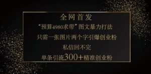 小红书神奇图片引流法，只需一张图，就能单条笔记凭借此方法，轻松引流 300 + 精准创业粉-吾爱网创