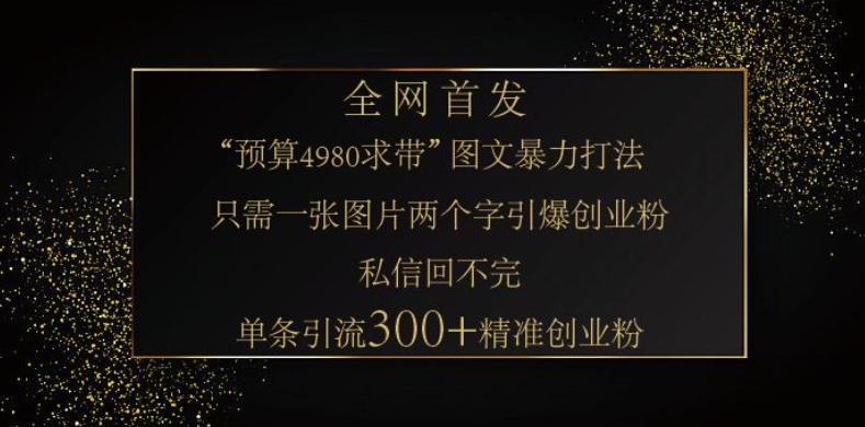 小红书神奇图片引流法，只需一张图，就能单条笔记凭借此方法，轻松引流 300 + 精准创业粉-吾爱网创