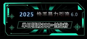 2025年快手6.0保姆级教程震撼来袭，单日狂吸300+精准创业粉-吾爱网创