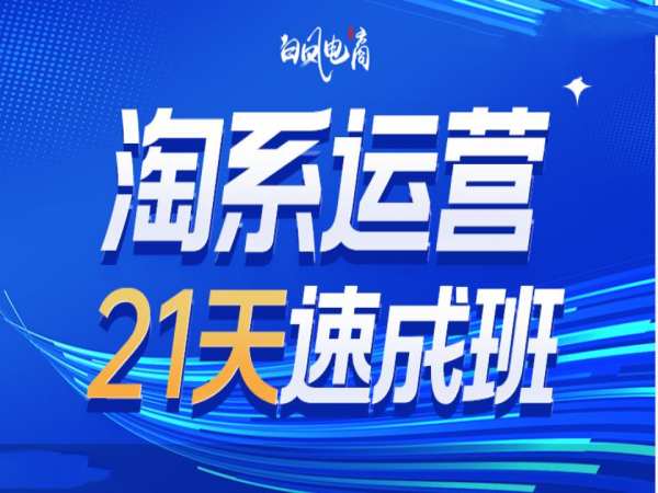 淘系运营21天速成班35期,年前最后一波和2025方向-吾爱网创