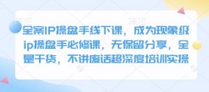 全案IP操盘手线下课，成为现象级ip操盘手必修课，无保留分享，全是干货，不讲废话超深度培训实操-吾爱网创