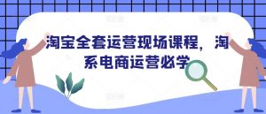淘宝全套运营现场课程,淘系电商运营必学-吾爱网创