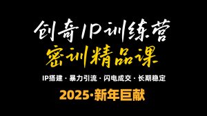 2025年“知识付费IP训练营”小白避坑年赚百万，暴力引流，闪电成交-吾爱网创