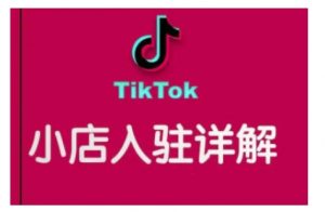 TikTok跨境小店运营全攻略，帮助你独立运营TK跨境小店的能力，实现销量增长-吾爱网创