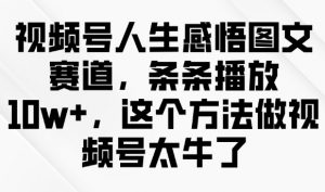 视频号人生感悟图文赛道，条条播放10w+，这个方法做视频号太牛了-吾爱网创