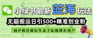 小绿书无脑搬运引流，全自动日引500精准创业粉，微信生态内又一个闷声发财的机会-吾爱网创