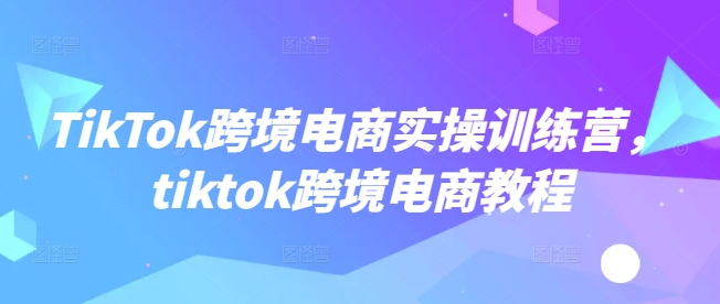 TikTok跨境电商实操训练营，tiktok跨境电商教程-吾爱网创