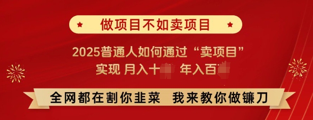 必看,做项目不如卖项目,2025普通人如何通过“卖项目”实现月入十个,年入百个-吾爱网创
