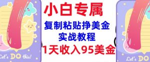 复制粘贴挣美金，0门槛，1天收入95美刀，3分钟学会，内部教程(首次公开)-吾爱网创