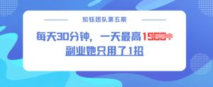 副业她只用了1招，每天30分钟，无脑二创，一天最高1.5k-吾爱网创