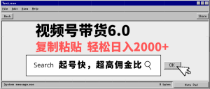 视频号带货6.0,轻松日入2000+,起号快,复制粘贴即可,超高佣金比-吾爱网创