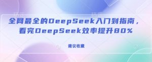 全网最全的DeepSeek入门到指南，看完DeepSeek效率提升80%(建议收藏)-吾爱网创